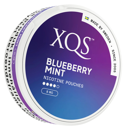 XQS blueberry mint snus